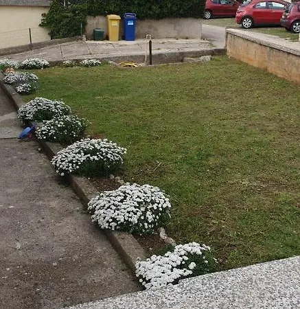 Apartment Marton
